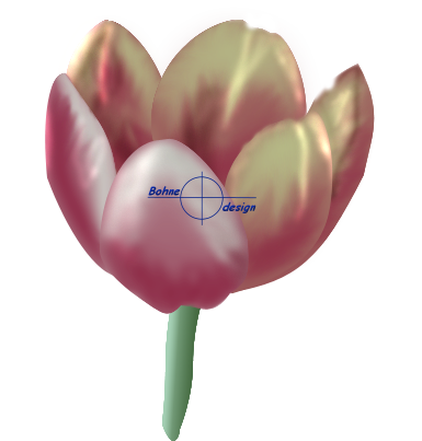 Tulpe Variante