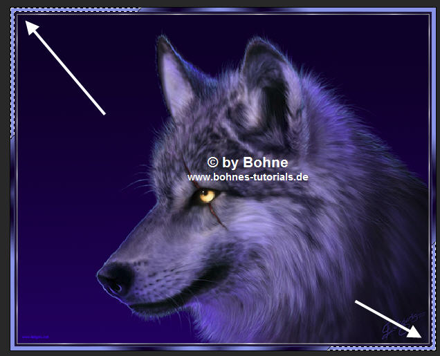 screen4